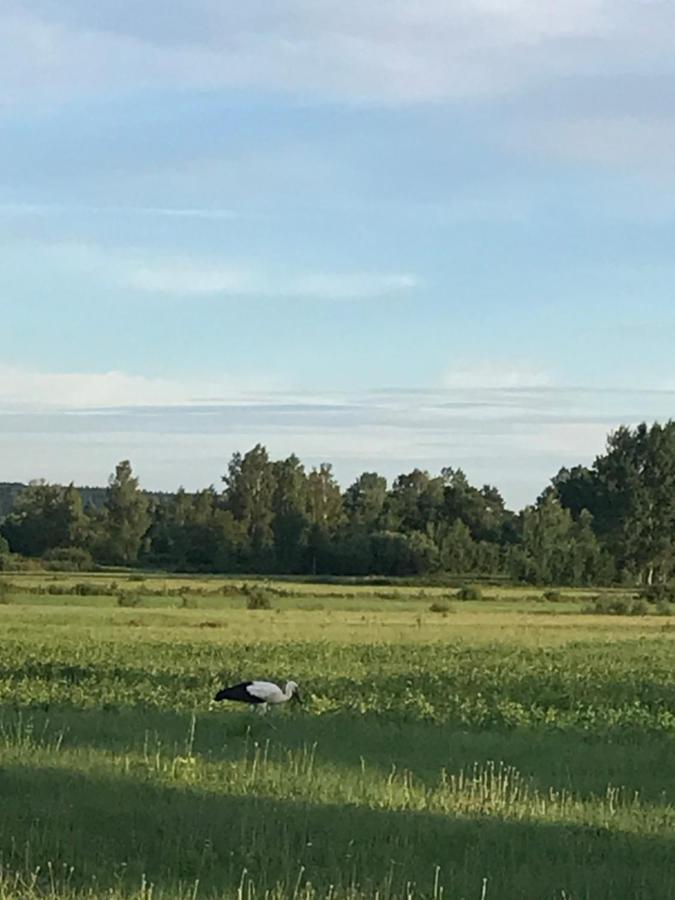 Dzika Plaża Wierzchucino Zewnętrze zdjęcie